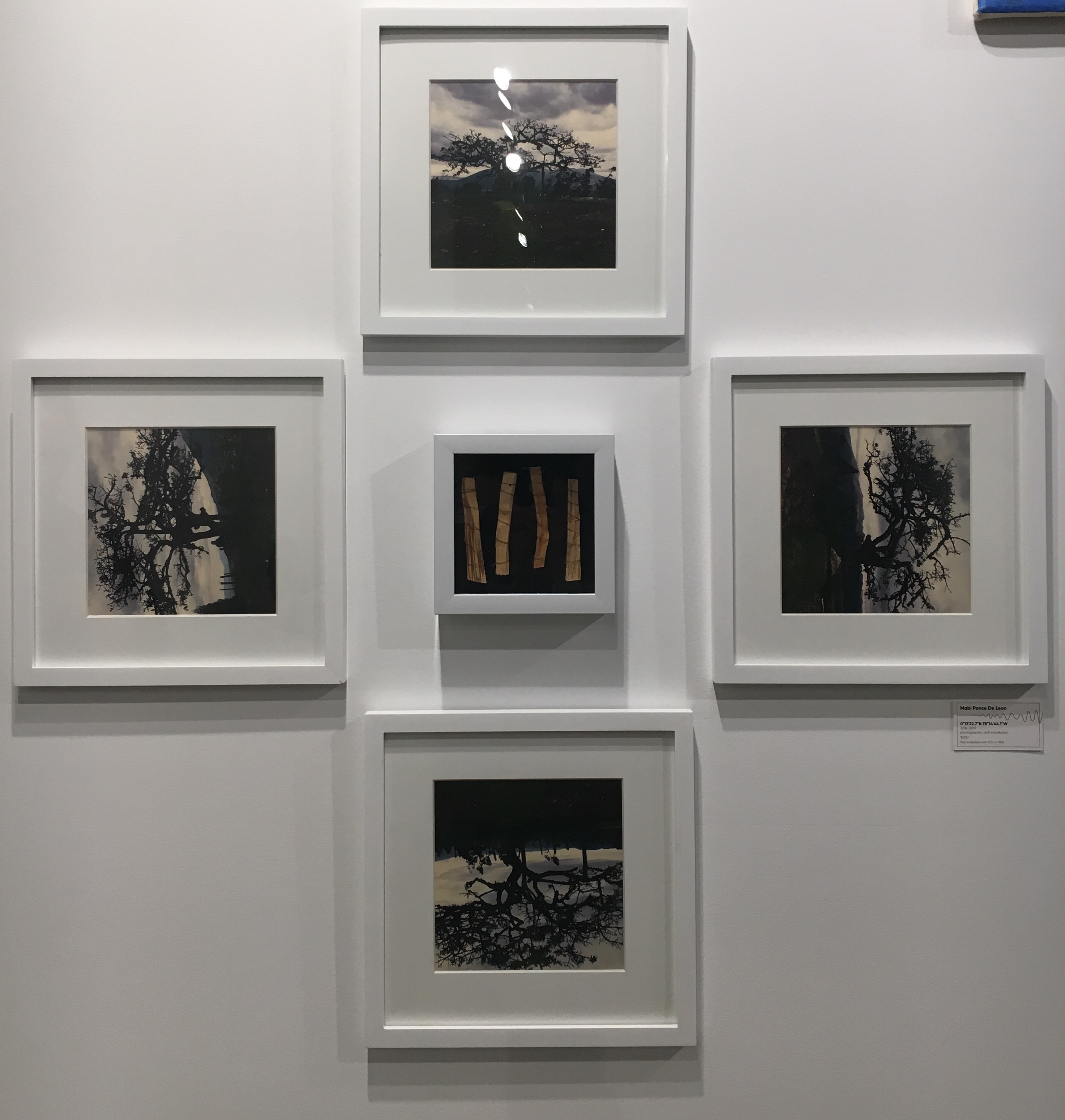 digital photo installation with frames, string, and Palo Santo wood, five 12 x 12” frames